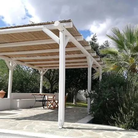 Olive Grove Soulis Family Estate