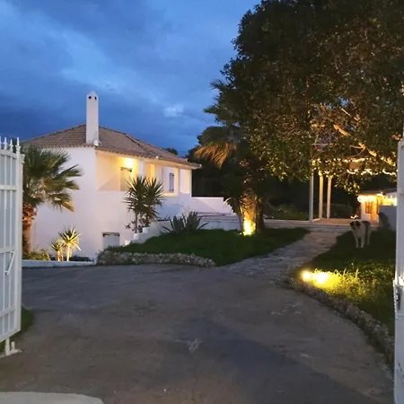 Σπίτι διακοπών Olive Grove Soulis Family Estate