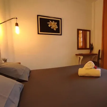 Olive Grove Soulis Family Estate *