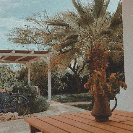 Olive Grove Soulis Family Estate Vakantiehuis *