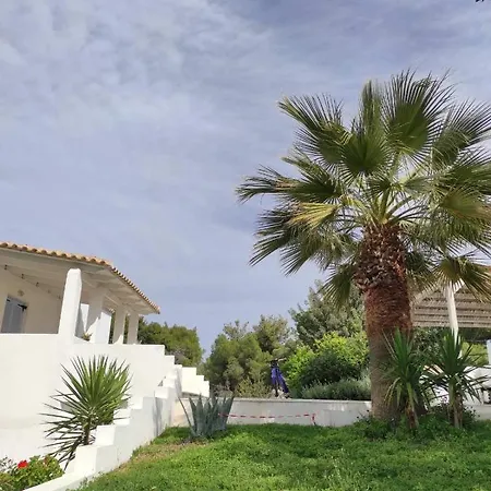 Olive Grove Soulis Family Estate