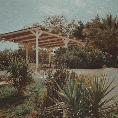 Casa vacanze Olive Grove Soulis Family Estate