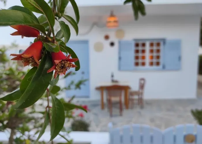 Olive Grove Soulis Family Estate Porto Heli