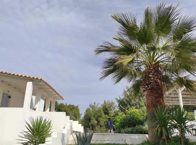 Olive Grove Soulis Family Estate