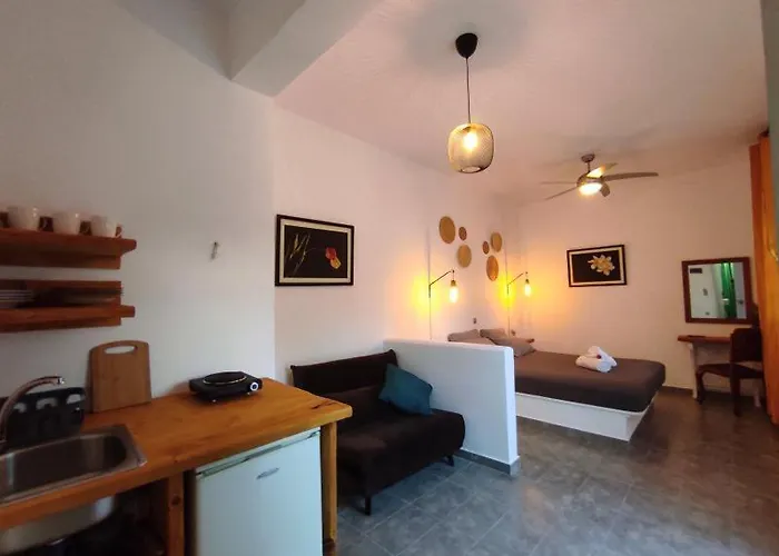 Olive Grove Soulis Family Estate *