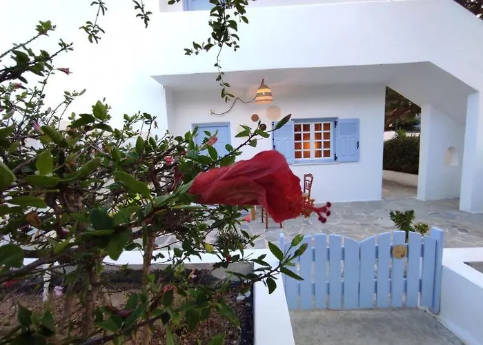 Olive Grove Soulis Family Estate Dom wakacyjny