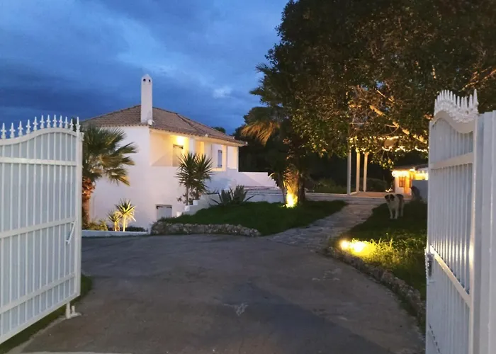 Dom wakacyjny Olive Grove Soulis Family Estate