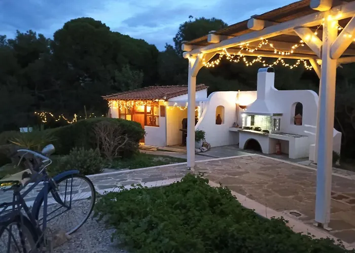 Olive Grove Soulis Family Estate Porto Heli